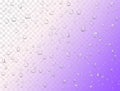Vector rain water drops on transparent background. Pure droplets condensed. Realistic pattern on window glass surface