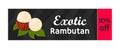 Vector rambutan tropical fruit on sale. Exotic vitamin nutrition for ma