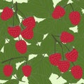 Vector Raspberries seamless pattern