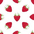 Vector raspberry pattern. Raspberry red seamless background Royalty Free Stock Photo