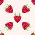 Vector raspberry pattern. Raspberry red seamless background Royalty Free Stock Photo