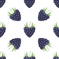 Vector raspberry pattern. Raspberry seamless background Royalty Free Stock Photo
