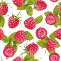 Vector raspberry pattern Royalty Free Stock Photo