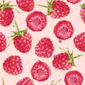 Vector raspberry seamless pattern.