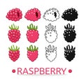 Vector raspberry set