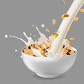 Vector realism style illustration muesli in bowl with nuts