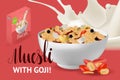 Vector realism style poster, site or banner template with illustration muesli in bowl