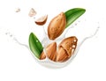 Vector realistic almond milk splash with leaves