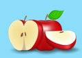 Vector realistic apple isolated