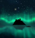 Aurora borealis, polar bears, iceberg and reflections on the water Royalty Free Stock Photo