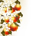 Cute artistic background with realistic fresh apples on branch w