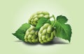 Vector realistic beer green hop cones, leaves with stem. Isolated illustration on a color background.