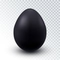 Vector Realistic Black Chicken egg