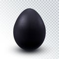 Vector Realistic Black Chicken egg