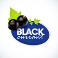 Vector realistic black currant with sheets. Black currant label. Black currant on white background.