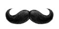 Vector realistic black mustache