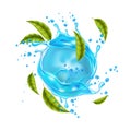 Vector realistic blue water splash mint leaves