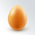 Vector Realistic Brown Chicken egg