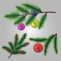 Vector realistic christmas fir tree branches with balls and berries isolated on transparent background Royalty Free Stock Photo