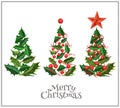 Vector realistic christmas tree holly xmas set Royalty Free Stock Photo