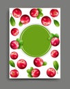 Vector with realistic cranberry isolated with frame