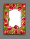 Vector with realistic cranberry isolated with frame