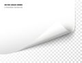 Vector realistic curled corner