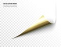 Vector realistic curled corner