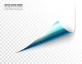Vector realistic curled corner