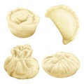 Vector realistic 3d dumplings baozi khinkali Royalty Free Stock Photo