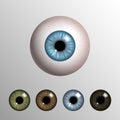 Vector realistic 3d human eyeball with natural colored iris set