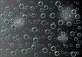 Dark background with transparent soap bubbles Royalty Free Stock Photo