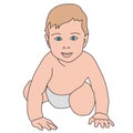 Vector realistic drawn baby on white. Cute little baby boy dressed in white diaper, creeps Royalty Free Stock Photo