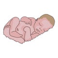 Vector realistic drawn baby on white. Cute little newborn, sleeps.