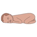 Vector realistic drawn baby on white. Cute little newborn, sleeps on his stomach.