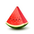 Vector realistic fresh fruit watermelon