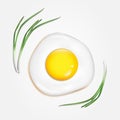 Vector realistic fried egg with green onion