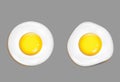 Vector realistic fried eggs set