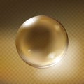 Vector realistic glass sphere transparent Royalty Free Stock Photo