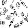 Vector hand drawn seamless background with tulip flower patterns Royalty Free Stock Photo