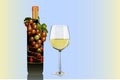 Bottle grape and wine glass illustrator