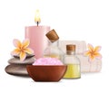 Wellness and spa salon services, vector illustration Royalty Free Stock Photo