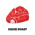 Vector Realistic Illustration of Chuck Roast