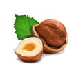 hazelnut peeled whole, chopped into halves and green hazel leaves isolated on white.