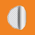 Vector realistic illustration of orange torn paper with rolled e