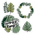 Vector realistic illustration set of tropical leaves and flowers isolated on white background. Highly detailed colorful plant Royalty Free Stock Photo