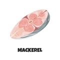 Vector Realistic Illustration of Steak of Mackerel Royalty Free Stock Photo