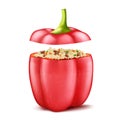 Vector stuffed bell pepper with rice and mince