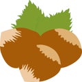 Vector realistic illustration of whole hazelnut, and green hazel leaves