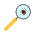 Vector realistic isolated ixodes tick insect with magnifier glass for decoration and covering on the transparent Royalty Free Stock Photo